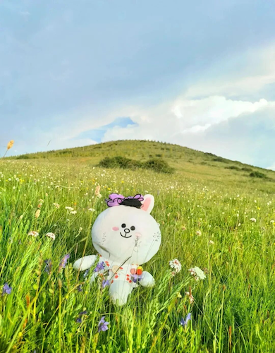 “你像星星一样照亮过我们的生命，那些螺旋星轨是你留给世界的涟漪。”